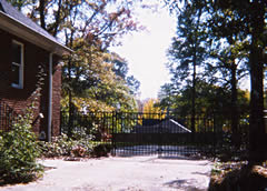 Wrought Iron Fencing