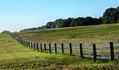 Rail and post fence